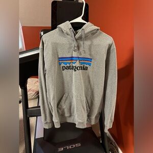 Patagonia Gray Hoodie with Blue and Orange Accents